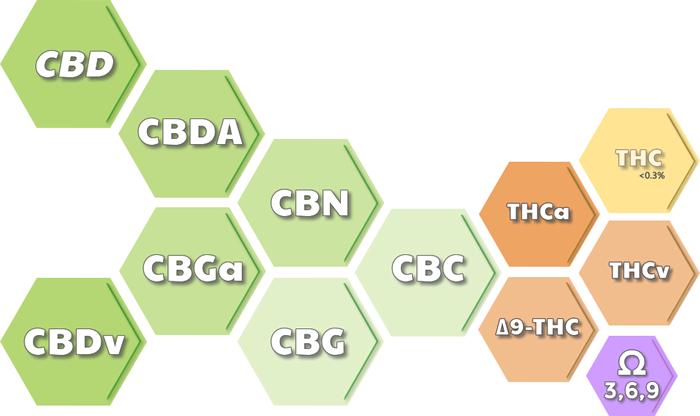 CBD Oil for sale - Whole-Plant full-spectrum cannabinoid profile