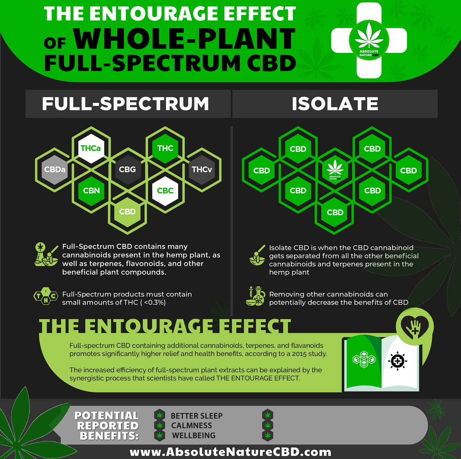 Entourage Effect – The many instruments of the whole orchestra of wellness conducted by CBD.