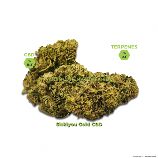 Siskiyou Gold-CBD-hemp-Flower-buds