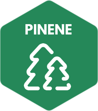 Pinene Terpene Icon